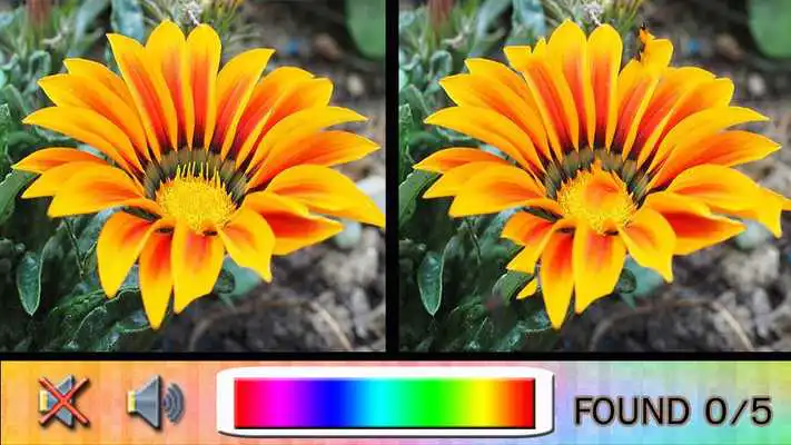Play Find Difference flower Game