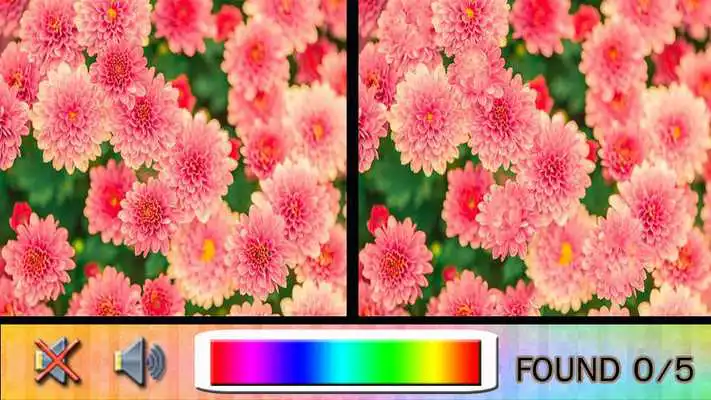 Play Find Difference flower Game