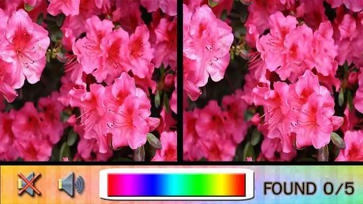 Play Find Difference flower Game