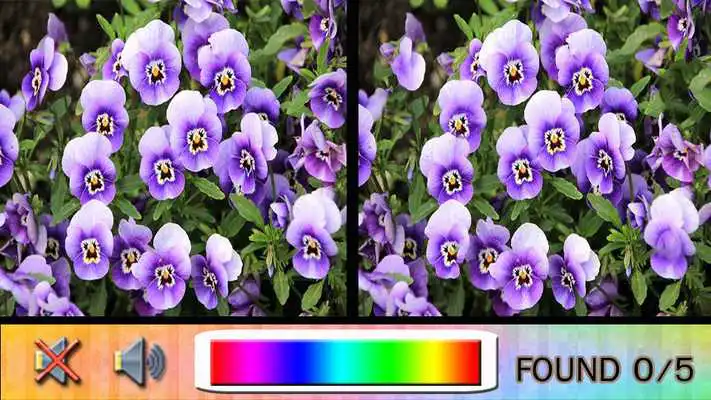 Play Find Difference flower Game