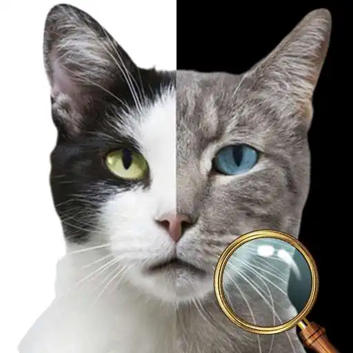 Play Find Differences 2019 Summer APK