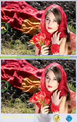 Play Find Differences