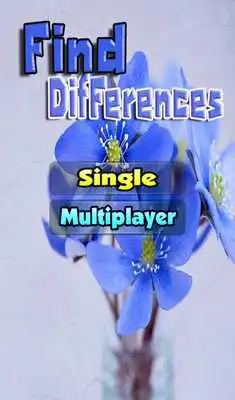 Play Find Differences