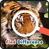 Free play online Find Differences : Wildlife APK