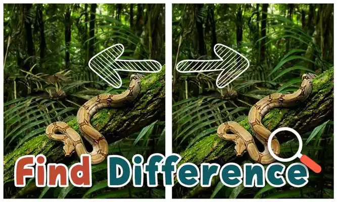 Play Find Differences : Wildlife
