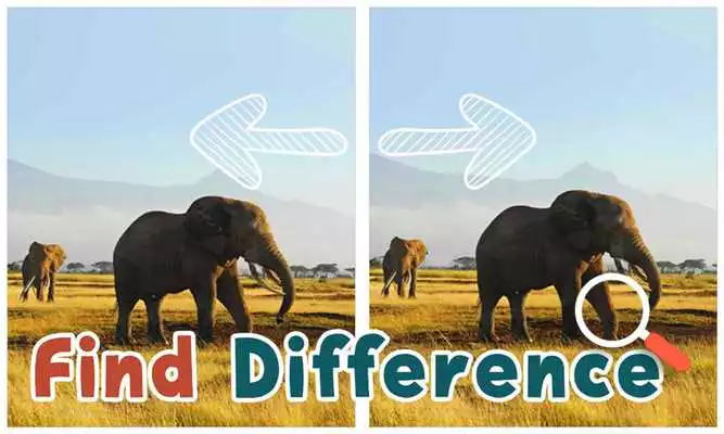 Play Find Differences : Wildlife