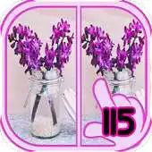 Free play online Find Difference vase APK