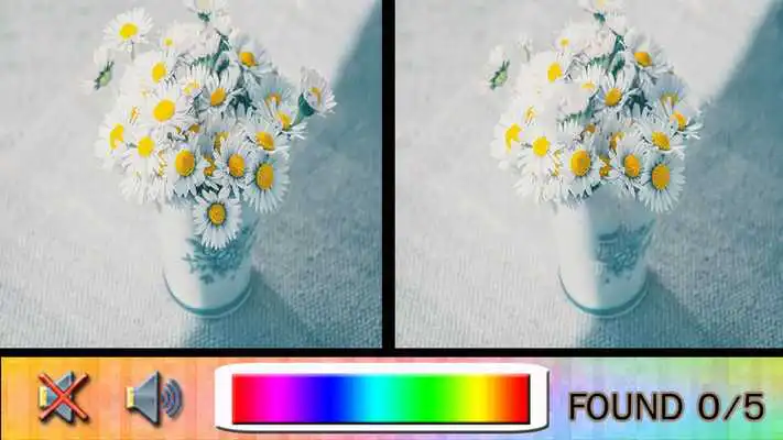 Play Find Difference vase