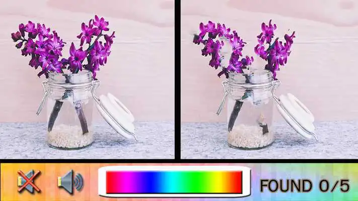Play Find Difference vase