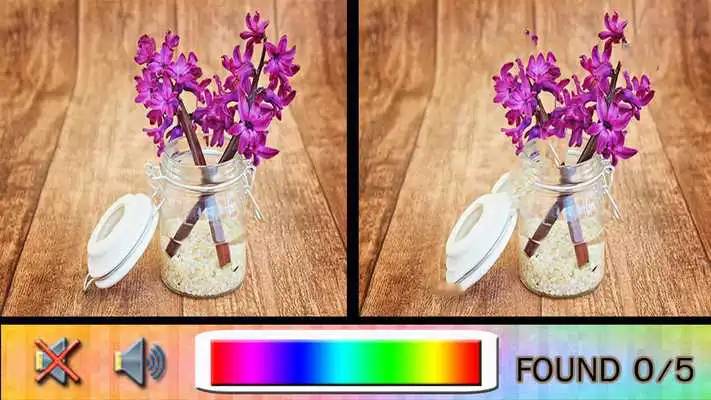 Play Find Difference vase