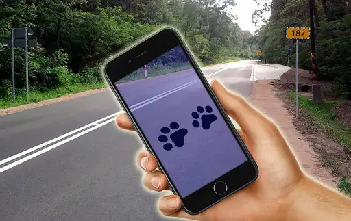 Play Find Footprints In Your Room (prank)  and enjoy Find Footprints In Your Room (prank) with UptoPlay