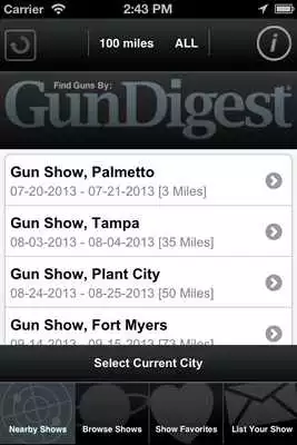 Play Find Guns