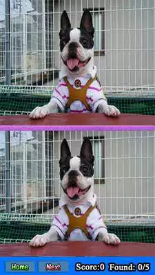 Play Finding Different Pictures Games Play Finding Different Pictures Games