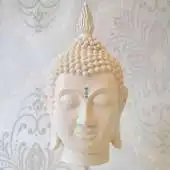 Free play online Finding Happiness APK