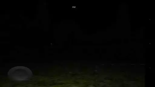 Play Find It Or Run!!