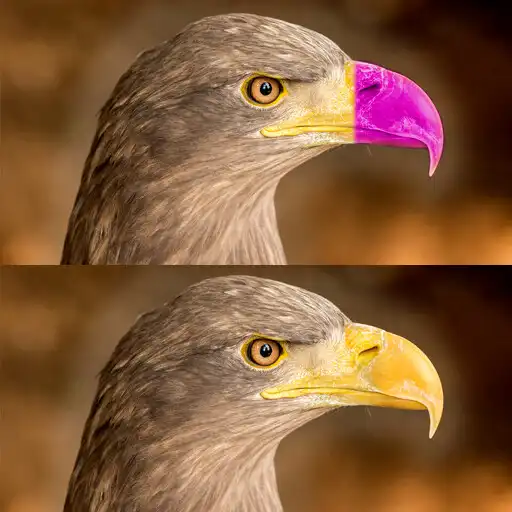 Play FIND IT - Spot the Difference APK