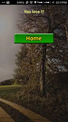 Play Find Me - Spot The Difference