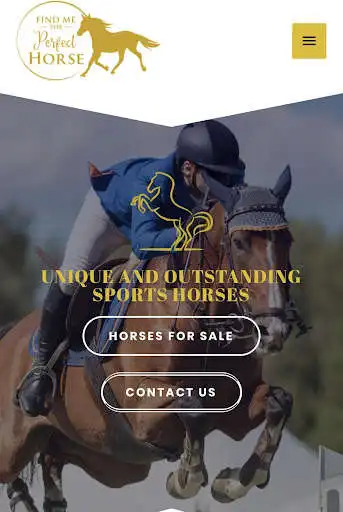 Play Find Me The Perfect Horse  and enjoy Find Me The Perfect Horse with UptoPlay
