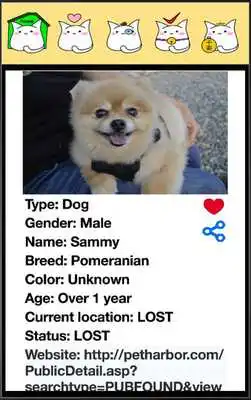 Play FindMe (Washington)