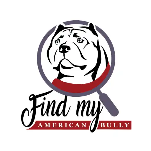 Play Find My American Bully APK Play Find My American Bully APK