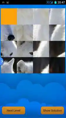 Play Find Pictures