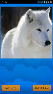 Play Find Pictures