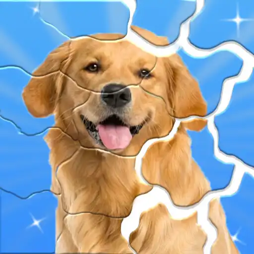 Play Find  Restore! APK