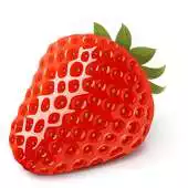 Free play online Find Same Fruit APK