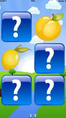 Play Find Same Fruit