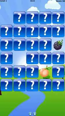 Play Find Same Fruit