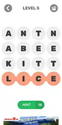 Play Finds Words : Animals