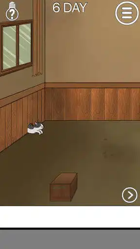 Play Find the Cat - Escape challenge game  and enjoy Find the Cat - Escape challenge game with UptoPlay