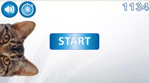 Play Find The Cat  and enjoy Find The Cat with UptoPlay