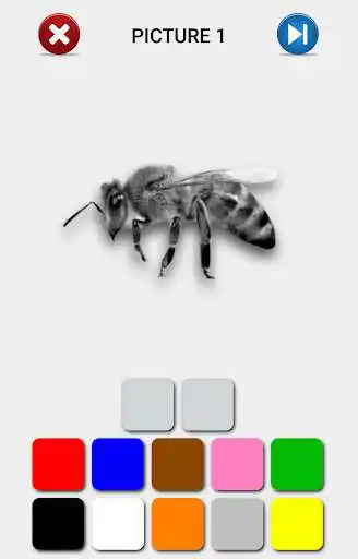 Play Find the colors. as an online game Find the colors. with UptoPlay