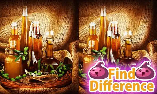 Play Find the Difference 15