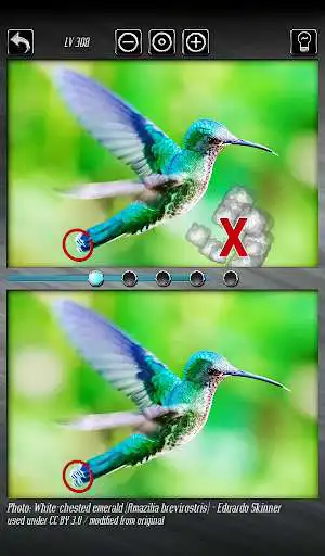 Play Find the Difference 3 - compare pictures as an online game online Find the Difference 3 - compare pictures with UptoPlay pl.unit7.finddifference03 Play Find the Difference 3 - compare pictures as an online game Find the Difference 3 - compare pictures with UptoPlay