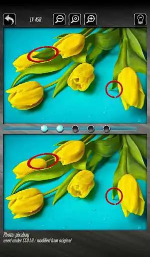 Play Find the Difference 4 - compare photos as an online game Find the Difference 4 - compare photos with UptoPlay