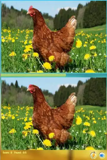 Play Find The Differences