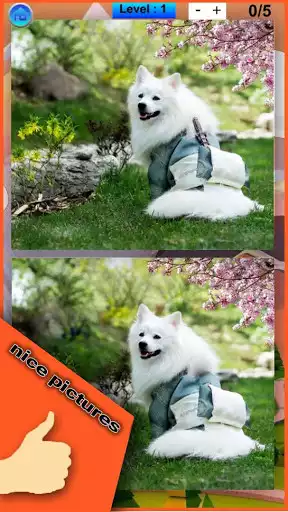 Play Find The Differences