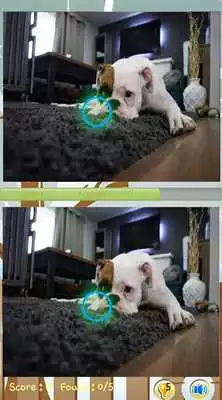 Play Find The Differences