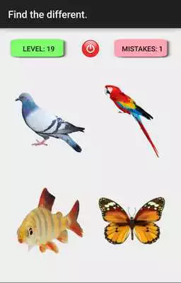 Play Find the Different
