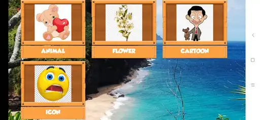 Play Find the pair