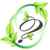 Free play online Find The Plant APK