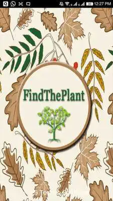 Play Find The Plant