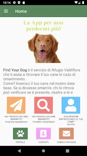 Play FindYourPet  and enjoy FindYourPet with UptoPlay