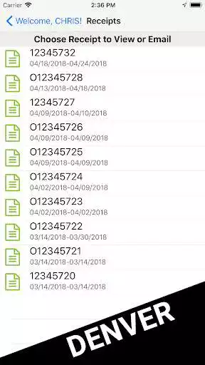 Play Fine Parking Denver as an online game Fine Parking Denver with UptoPlay