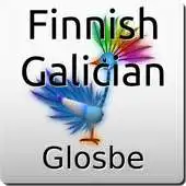Free play online Finnish-Galician Dictionary APK