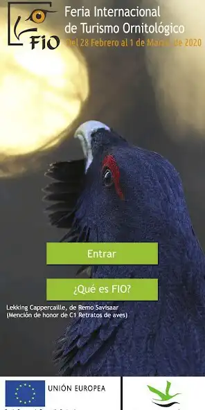 Play FIO 2020  and enjoy FIO 2020 with UptoPlay