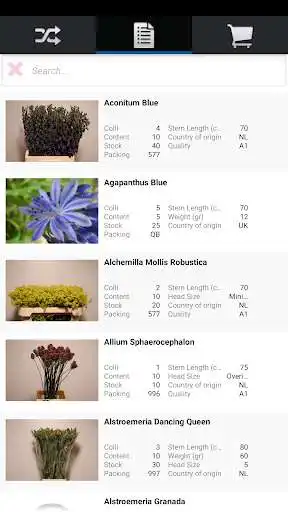 Play Fiori Flower as an online game Fiori Flower with UptoPlay