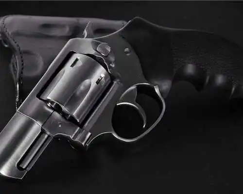 Play Firearms Guns Themes